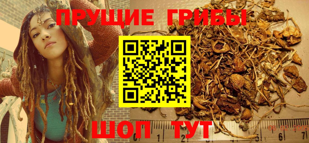 Псилоцибиновые грибы MAGIC MUSHROOMS Саяногорск